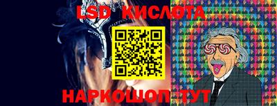 стафф Будённовск