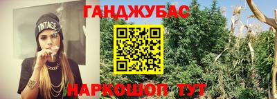 стафф Будённовск