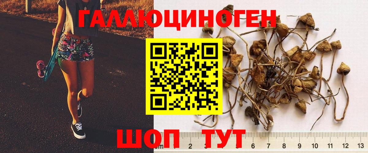 Галлюциногенные грибы Cubensis  Вход с VPN  Троицк 