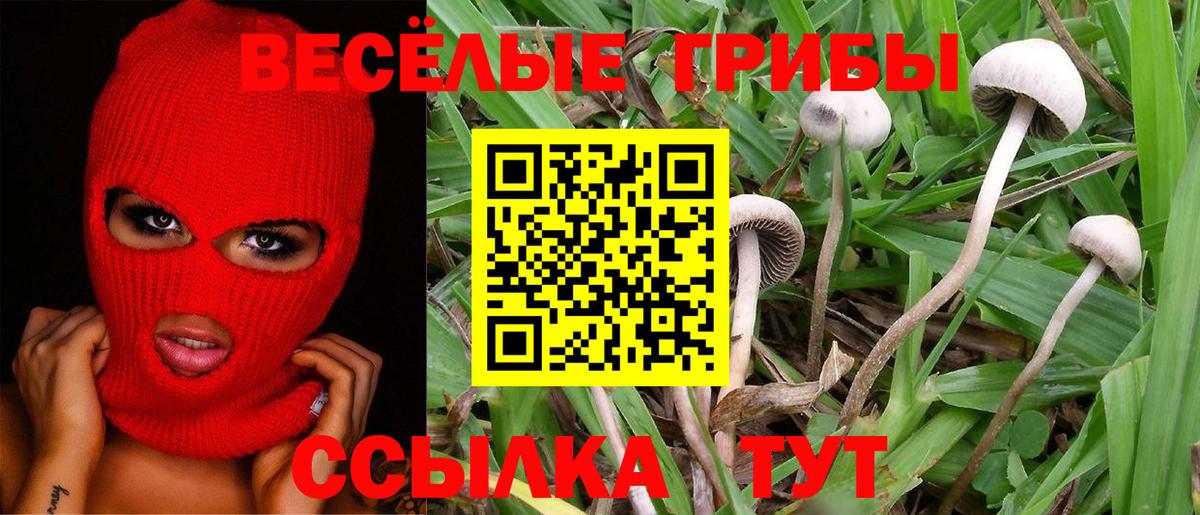 Галлюциногенные грибы ЛСД Троицк